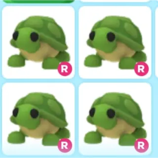 4X R Turtle