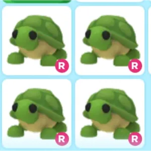 4X R Turtle