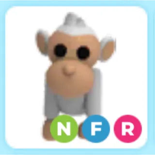 NFR Albino Monkey