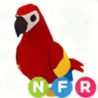 Pet | NFR Parrot