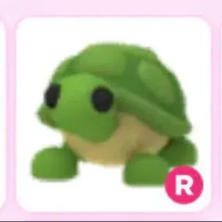 R Turtle