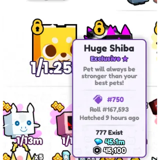 huge Shiba pets go