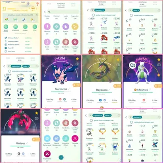 | Level 71 ( creation year 2019 ) | 336 + Legendary Pokémon | 338  + Shinies | 24 + premium passes | No name change  |