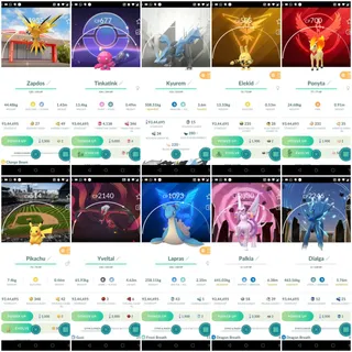 Lvl 71 | 143+ Legendary Pokémon | 196+ Shinies | 20 Hundos | 36 Special Background Pokémon |