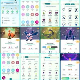 | Level 71  ( creation year 2021 ) | 164 + Legendary Pokémon | 263 + Shinies | 33 Raid passes |