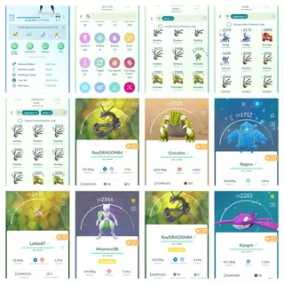 | Level 71 ( creation year 2016 ) | 349 + Legendary Pokémon | 412 + Shinies | | many shiny raquaza dragon asent |