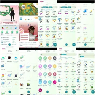 | Level 70 | | Hundo Rayquza | 316+ Legendary Pokémon | 315+ Shinies | 170 Raid passes | 97 Hundo |