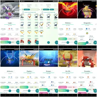 Lvl 71 | 135+ Legendary Pokémon | 156+ Shinies | 22 Hundos | 56 Special Background Pokémon |