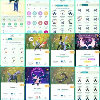 Pokémon Go Game Account