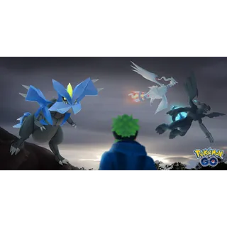 ⚔️ ROAD TO KALOS – UNOVA RAID DAY OFFER -60 X FUSION RAIDS • Reshiram 🔥• Zekrom ⚡•Black / White  Kyurem ❄️📅 Feb 27, 2026 