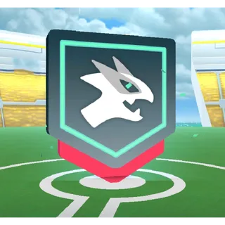 60x ANY CURRENT ON GOING RAIDS || CHEAPEST RAID SERVICE IN MARKET ||