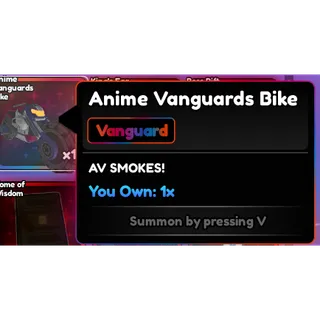 VANGUARDS BIKE