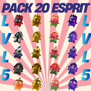 🔥Pack 20 Esprits LVL 5🔥