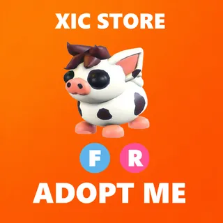FR MINI PIG - ADOPT ME
