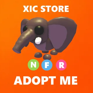 NFR BUSH ELEPHANT - ADOPT ME