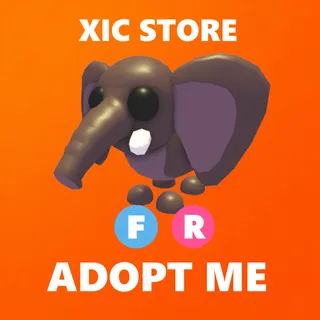FR BUSH ELEPHANT - ADOPT ME