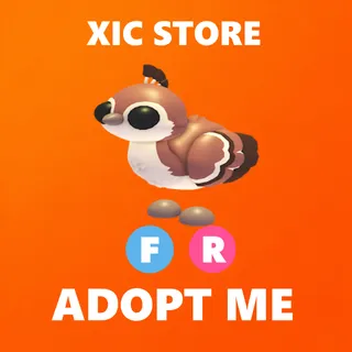 FR PEACHICK - ADOPT ME