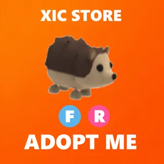 FR HEDGEHOG - ADOPT ME