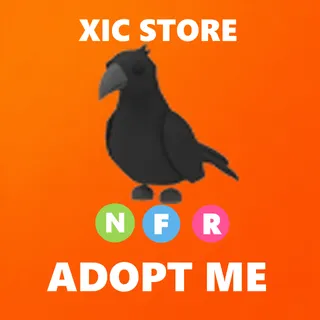 NFR CROW - ADOPT ME