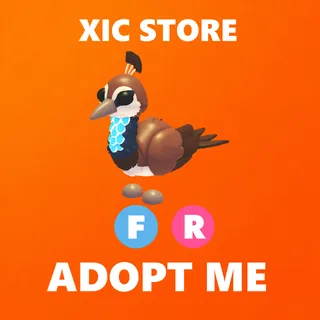 FR PEAHEN - ADOPT ME