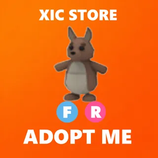 FR KANGAROO - ADOPT ME