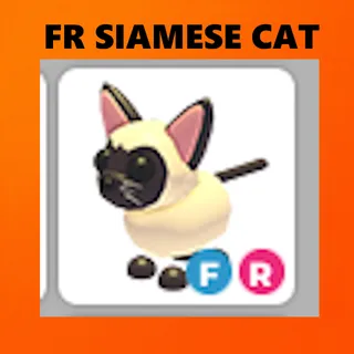 FR SIAMESE CAT - ADOPT ME