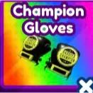 Champion Gloves