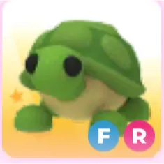 FR Turtle