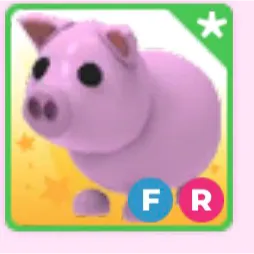 FR Pig