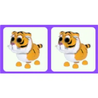Lunar Tiger x2