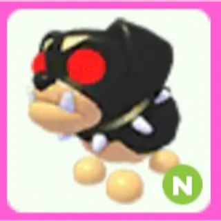 The Black Dog N