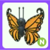 Orange Butterfly N