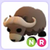 Pet | Musk Ox NR