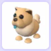 Tan Chow Chow