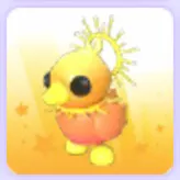 Pet | Sunrise Duckling 