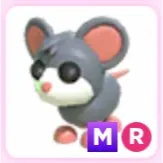 Pet | Mouse MR Mega