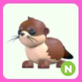 River Otter N