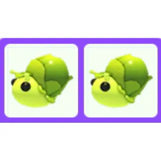 Pet | Sprout Snail Bundle x2