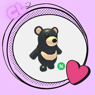 Black Moon Bear N