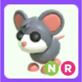 Mouse NR