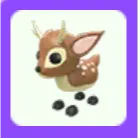 Pet | Fallow Deer