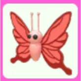 Scarlet Butterfly