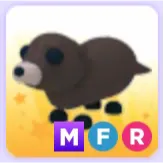 Pet | Otter MFR Mega