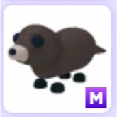 Pet | Otter M Mega Adopt Me