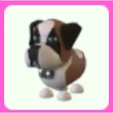St Bernard