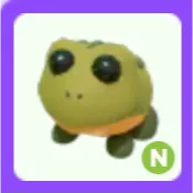 Pet | Bullfrog N Neon