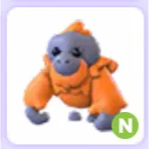 Orangutan N Neon
