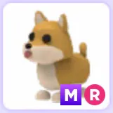 Pet | Shiba Inu MR Mega