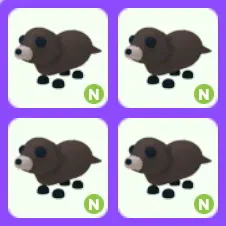 Pet | Otter N Neon Bundle x4