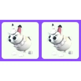 Arctic Hare x2